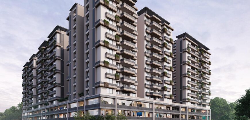 Maruti Onyx Luxuria in Adalaj, Gandhinagar