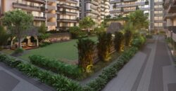 Maruti Onyx Luxuria in Adalaj, Gandhinagar